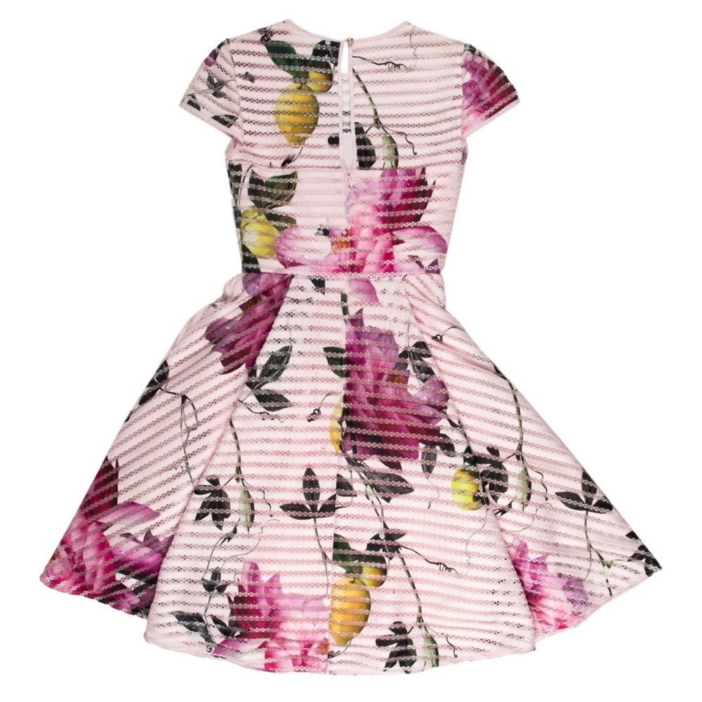 Ted Baker Pink and Purple Floral Mini Dress